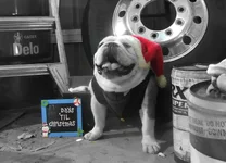DSCF6884.webp