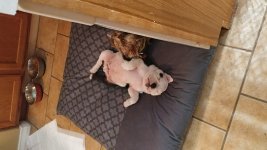 20170205_102551.jpg