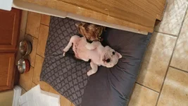 20170205_102551.webp