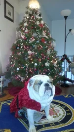 20141210_113014.webp