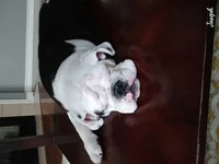 20170409_125004.webp