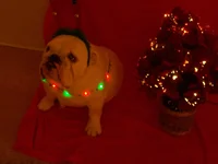 100_1050.webp