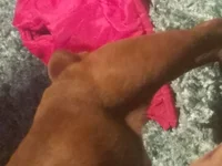 20180325_124107.webp 20180325_124107.webp