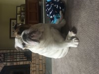 IMG_7117.JPG IMG_7117.JPG