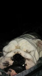IMG_20170409_101609.webp