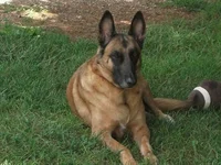jjjune62012.webp