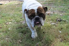 walter.webp
