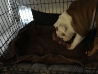 image.jpeg image.jpeg