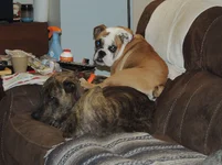 DSCN8200.webp