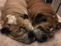squishy.webp