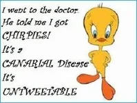 tweety.webp