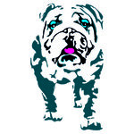 Dudley4_Blue.jpg