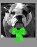 maudegreen.webp