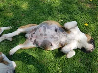 20170412_143835.webp