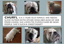 Churly.webp