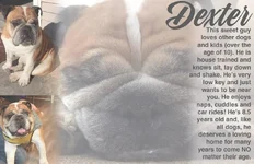 Dexter.webp
