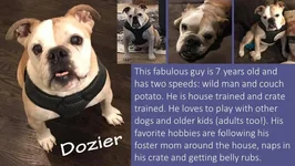 Dozier.webp