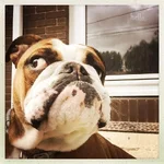 Ellie 10-10-17.webp
