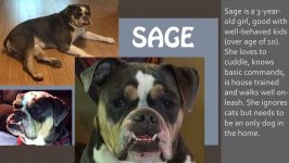 sage.jpg