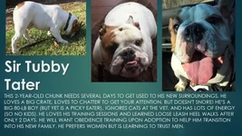 tubbytater.webp