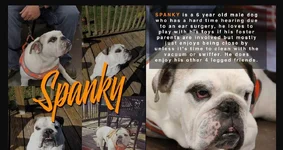 Spankey.webp