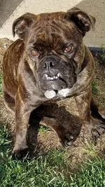 My baby girl summer 2017.webp