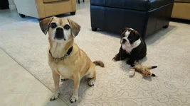 B.B, & B.webp