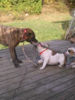 IMG_2017-10-12_16-12-25.webp
