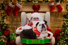 Meatball & Jingle-1.webp