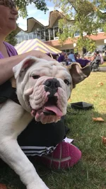 sarge at EC.webp