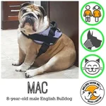 mac.webp mac.webp
