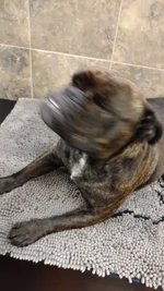 Look mommy im the exorcist .webp