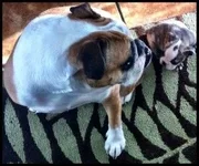 thumbnail_photo[5].webp