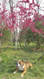 IMG_0135.webp