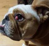 20161220_182115.webp