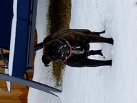 Look mommy we stll go grass.webp