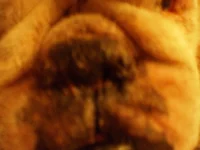 PC210009.webp