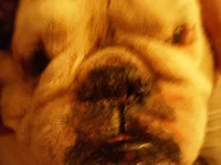 PC210013.webp