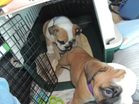 DSCN7876.webp
