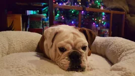 20161222_002925.webp