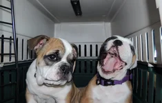 DSCN7890.webp