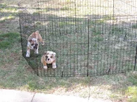 DSCN7893.webp