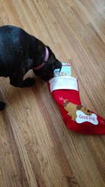 Xmas stocking 2.jpg