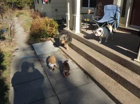 DSCN7896.webp
