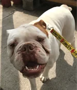 WinstonW1-707x826.webp