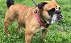 KatieJ2-707x432.jpg KatieJ2-707x432.jpg