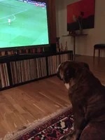 annandagsfotboll.webp