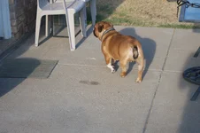 IMG_2536.webp