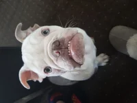 20180205_114224.webp