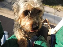 DSCN7907.webp